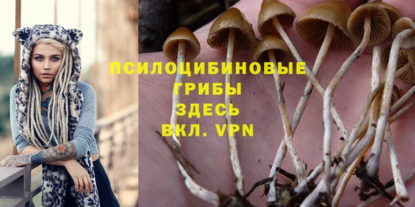 ECSTASY Бугульма