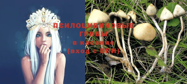 а пвп мука Бородино