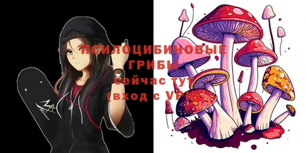 а пвп мука Бородино